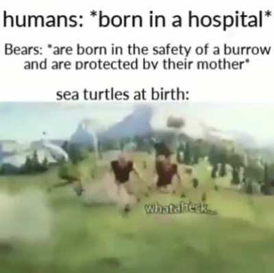 Yes