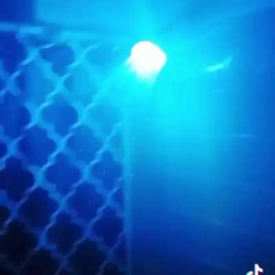 Razer shower