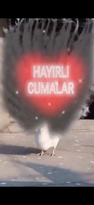 hayırlı cumalar