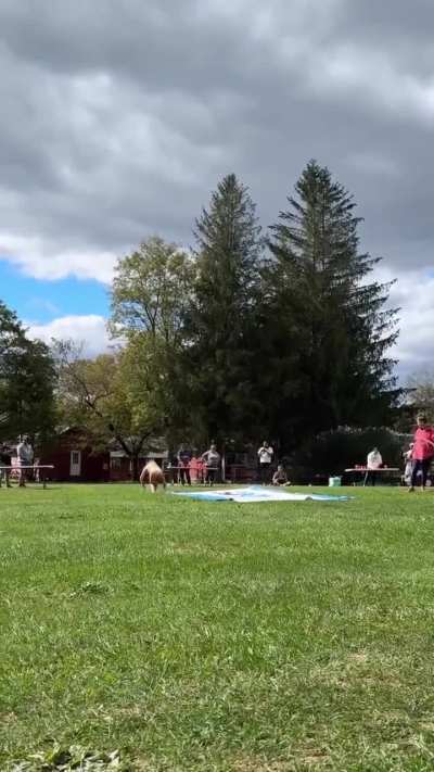 Running &amp;amp; sliding - Instagram 8/30/25