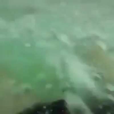Gotta look before you jump&hellip;this guy has luck on his side&hellip;