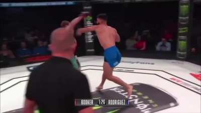 KNOCKOUTS in MMA.