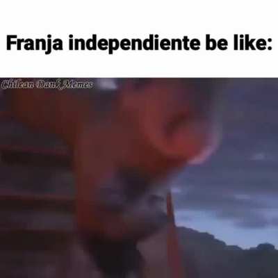 xd