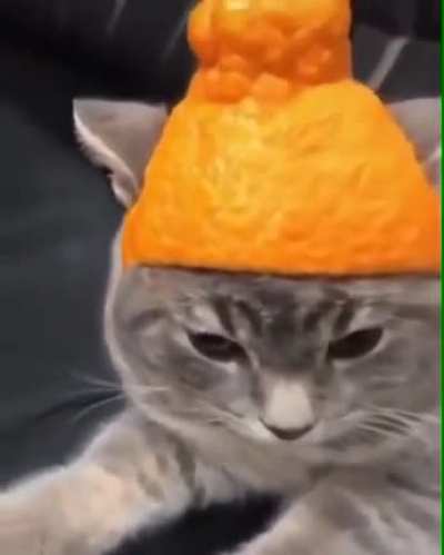 Citrus Helmet