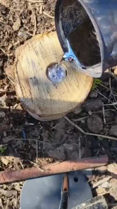 Some experimenting in the wild