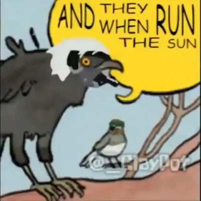 They are both good
