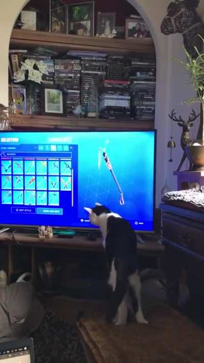 3 adorable minutes of kitten playing with a Fortnite Pickaxe - you&rsquo;re welcome Reddit. (She&rsquo;s almost fully recovered from being hit by a car in March and has a pin in her pelvis, this is the most fun she&rsquo;s had in months bless her!)