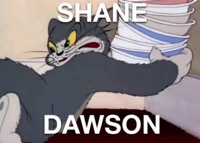 Cat imma kitty cat