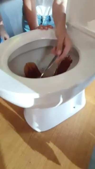 This is what they call a "Shitty dessert"