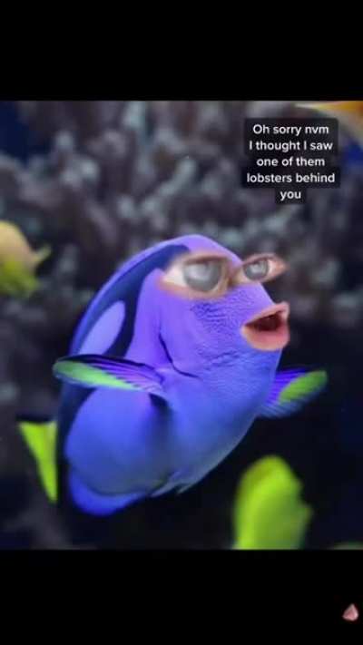 STEVEN LOOK OUT