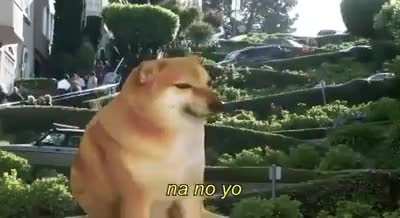 shitposting - Video #6683