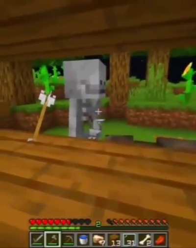 Minecraft