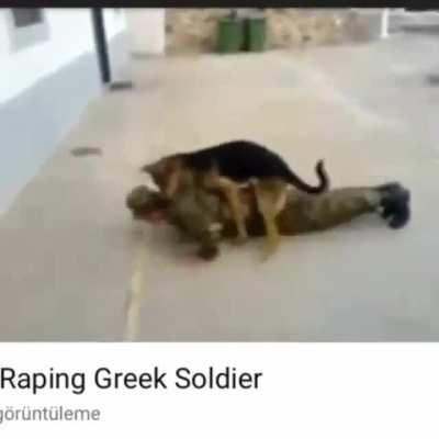 Average Gayreek soldier &amp;amp; Turkroach dog