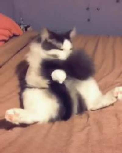 Cleaning his tail