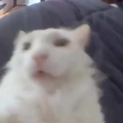 Six