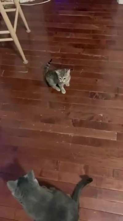 Each scream is perfectly cut