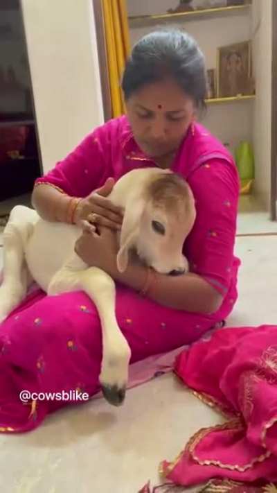 Prbha sleep