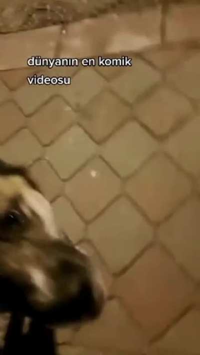 🥰😍😨😱💀