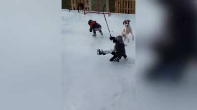 Dogberg