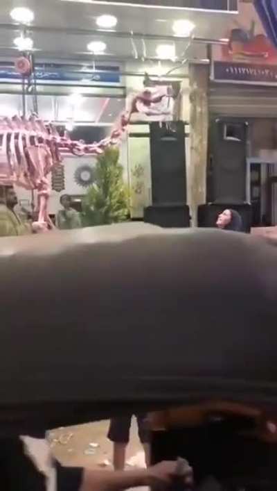 Cursed_Dinosaur