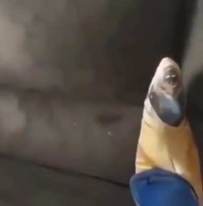 You are not safe.