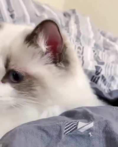 Boo!