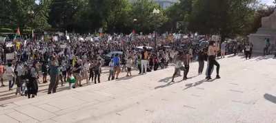 At the Free Palestine March today in DC