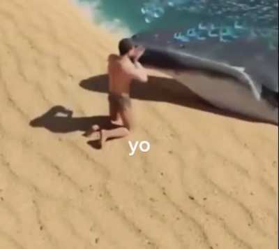 b&oacute; salvar umas baleias 😭