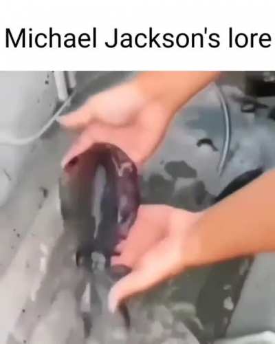 mj lore