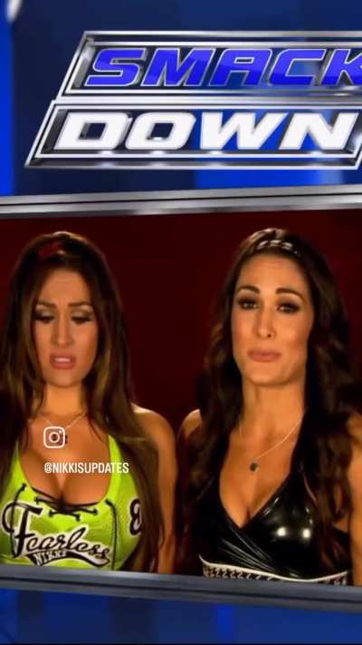 The Bella Twins