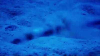 GIGA EEL BREAKER