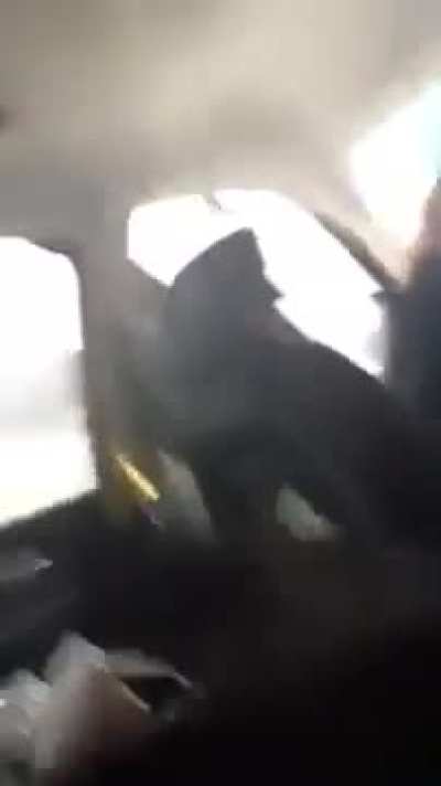 Abusive Scumbag Endangers His Girlfriend, Himself, a Passenger and Their Poor Dog (Warning: Some Violence)