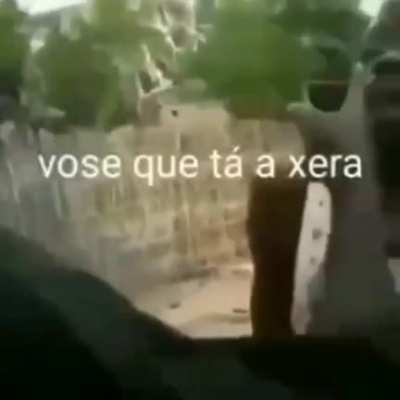 JACAL&Eacute;