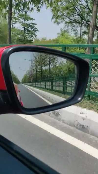 DriveEuphoria