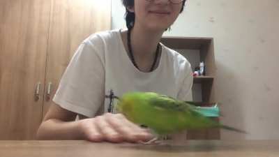 he loves my nail polish