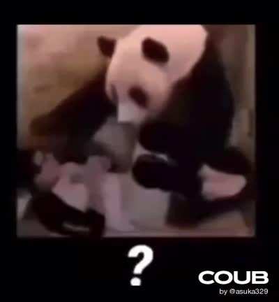 Surprise