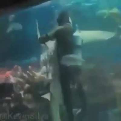 O Tubar&atilde;ozinho dan&ccedil;ando cellFofo