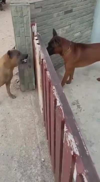 Who's the real jerk here?