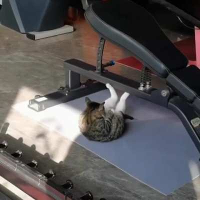 No Pain, No Gain