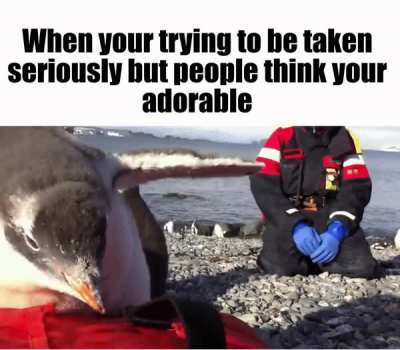 Assert Your Dominance
