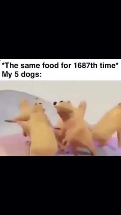 Me irl