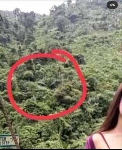 😱😱😱😱😭