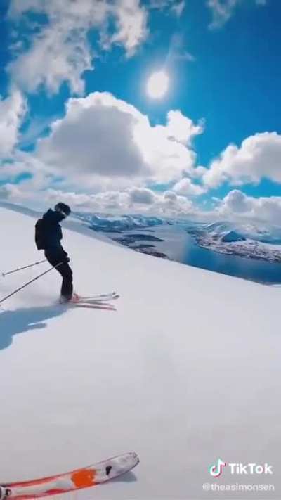 Enjoying their skiing