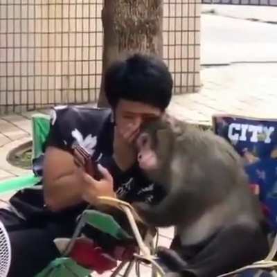 Looks like real friends!
