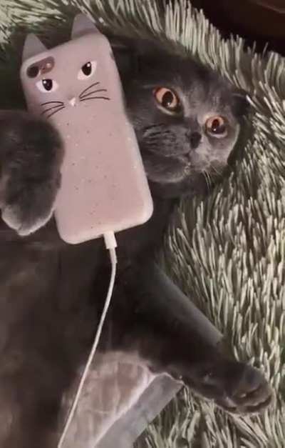 You dialed the wrong number, fool