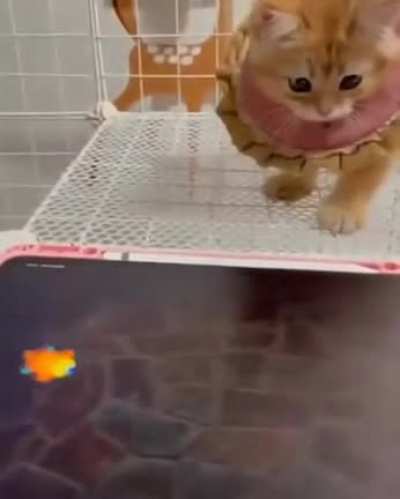 Instead of a laser
