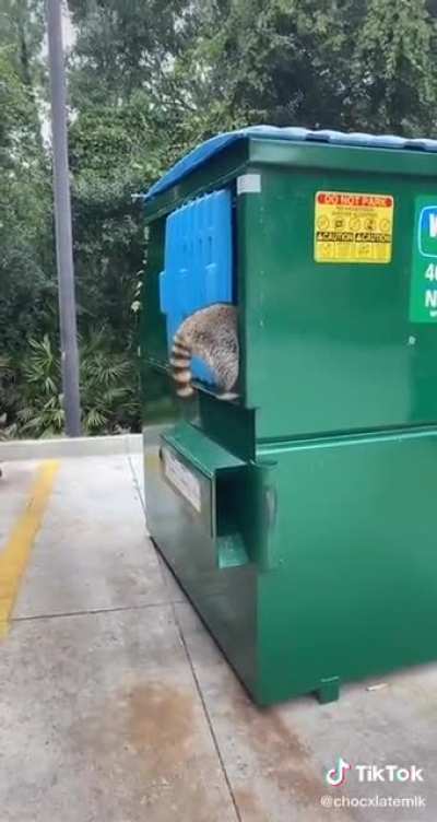 Chose the wrong dumpster