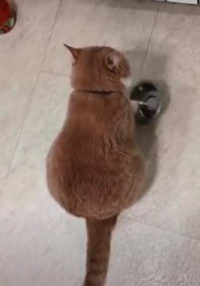 It&rsquo;s dinner time dammit...