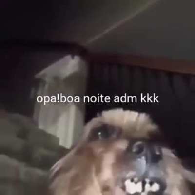 Opa bom dia