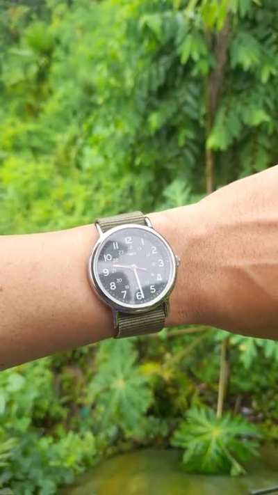Timex Weekender 38